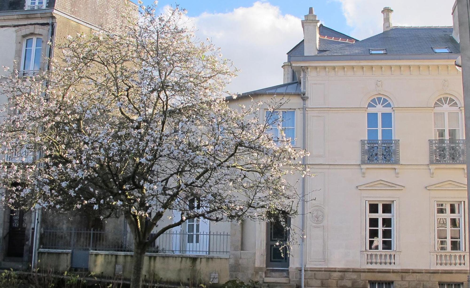 Une Suite A Vannes Extérieur photo